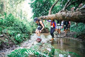 BIB: 
                            <button type="button" onclick="openModal(25477432)" class="btn btn-primary btn-sm float-right btn-popup" data-toggle="modal" data-target=".modal-high-quality">
                        <i class="fas fa-shopping-cart"></i> Add to Cart
                    </button>
                                            <button type="button" onclick="isThisMe(25477432, true)" class="btn btn-success btn-sm float-right btn-popup btn-isme hidden" data-toggle="tooltip" data-placement="bottom" title="นี่คือรูปของคุณใช่ไหม คลิกที่นี่เพื่อเอาเข้าอัลบั้ม">
                        <i class="fas fa-plus"></i> Add to album
                    </button>
                    <button type="button" onclick="isThisMe(25477432, false)" class="btn btn-warning btn-sm float-right btn-popup btn-isnotme hidden">
                        <i class="fas fa-ban"></i> Remove from album
                    </button>